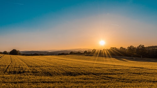 Herbicide resistance crisis targeted by new Oxford tech firm MoA Technology